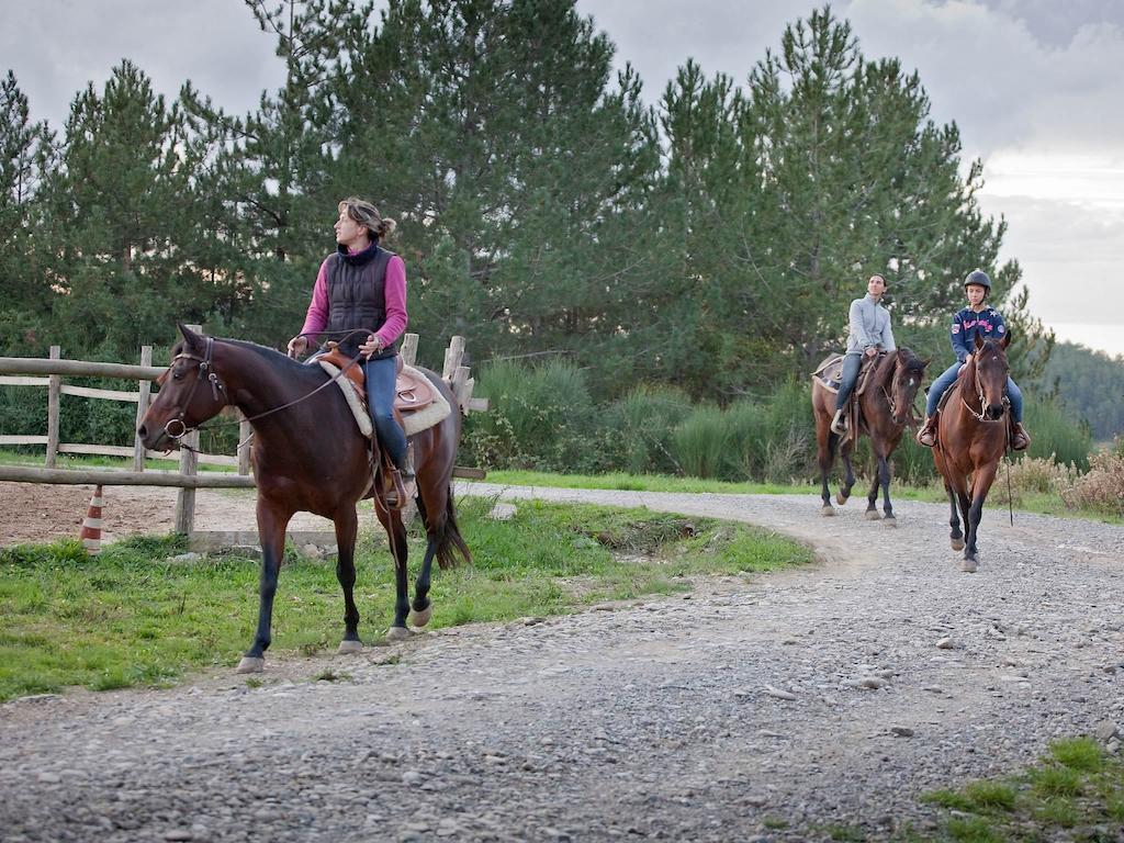 Tenuta La Silva Seggiano