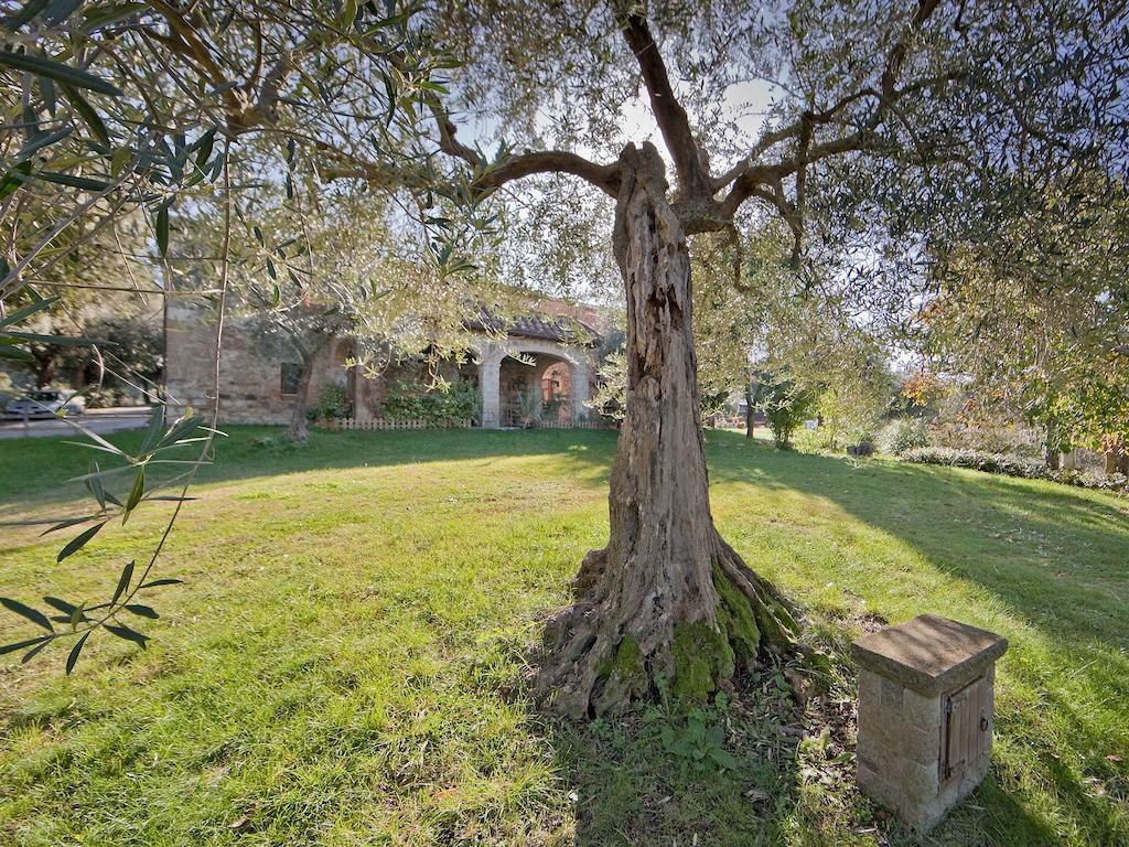 Tenuta La Silva Seggiano