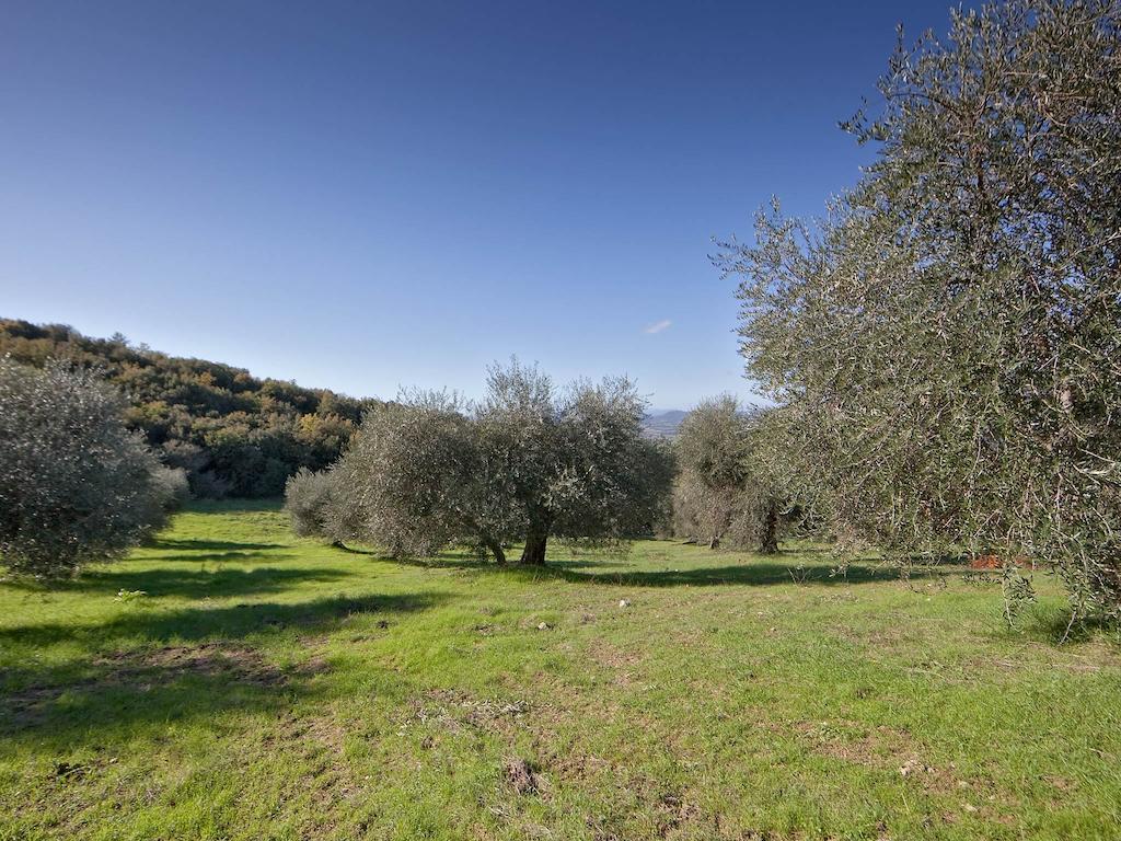 Tenuta La Silva