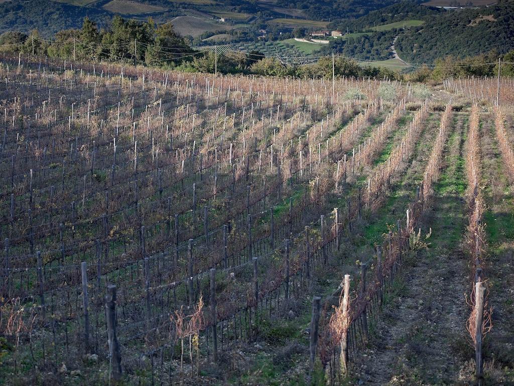 Alojamento de Turismo Rural Tenuta La Silva Seggiano