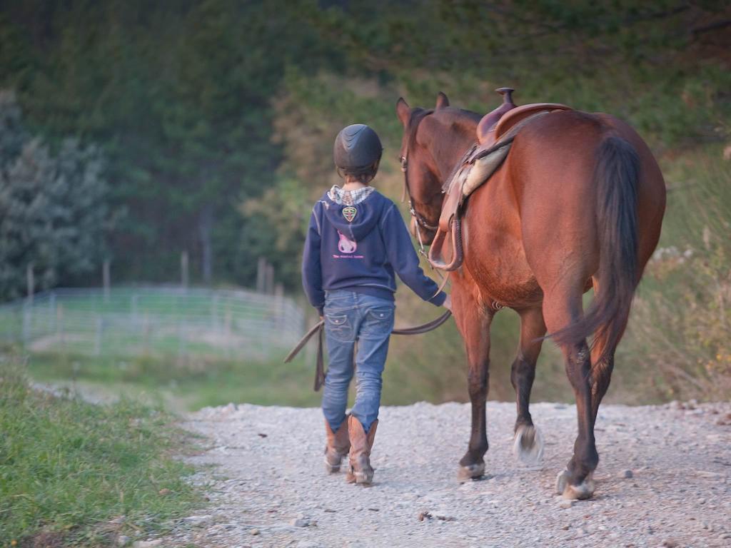 Tenuta La Silva Alojamento de Turismo Rural Seggiano